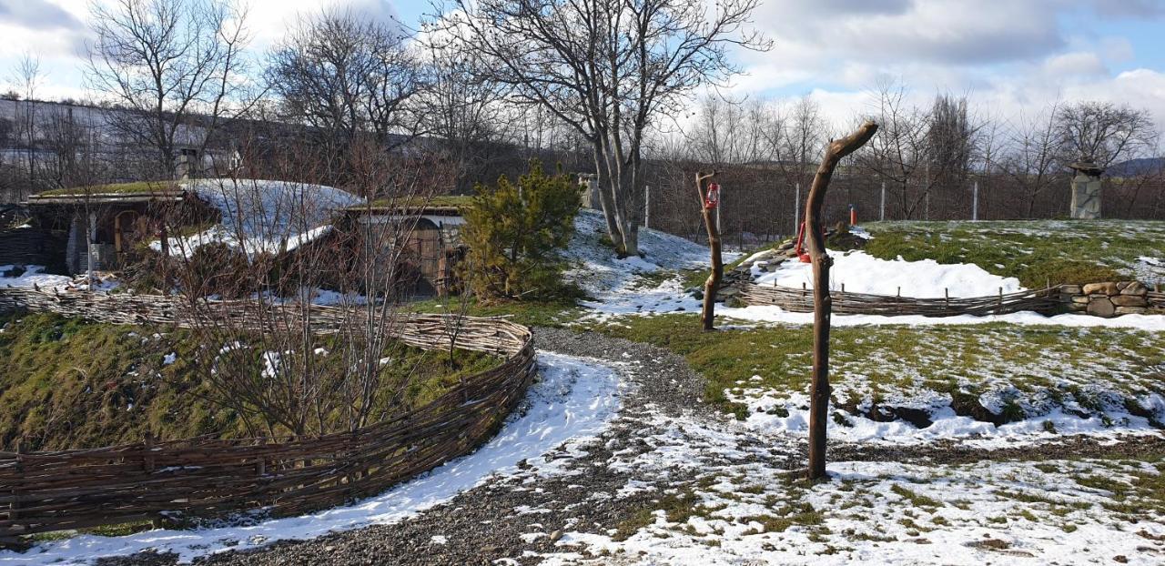 Hotel Valea Celor Doisprezece Piriu Dobreni Zewnętrze zdjęcie