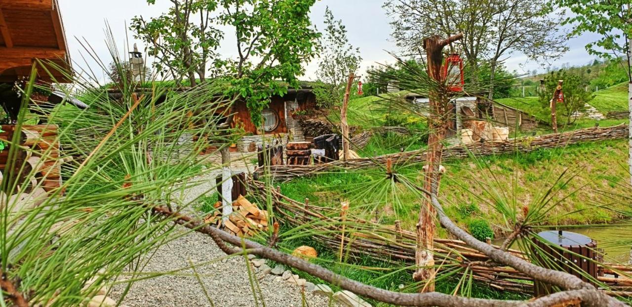 Hotel Valea Celor Doisprezece Piriu Dobreni Zewnętrze zdjęcie